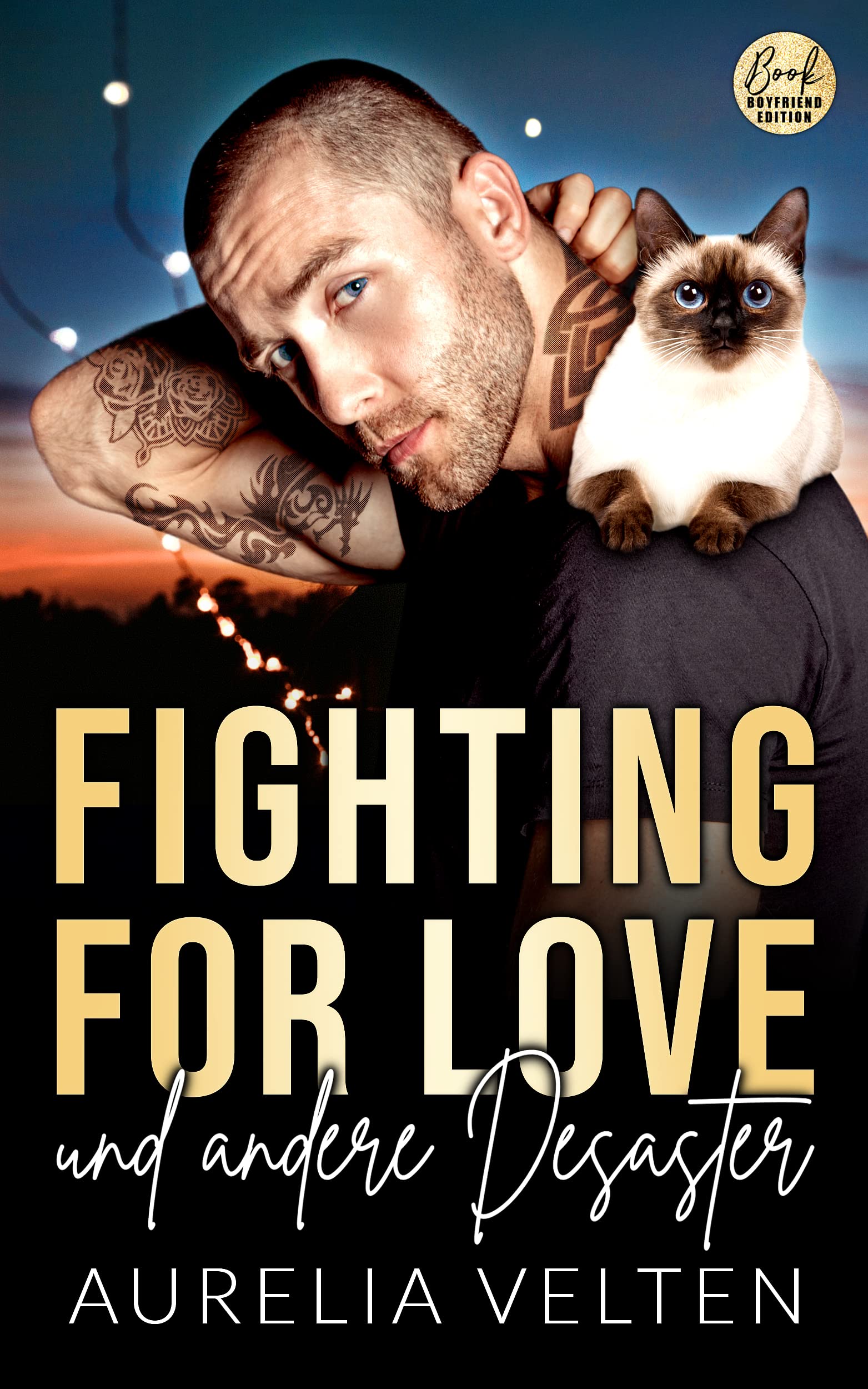 Fighting for Love und andere Desaster book cover