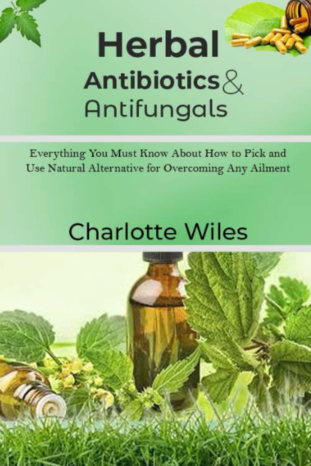 Herbal Antibiotics & Antifungals Everything you must know about how to