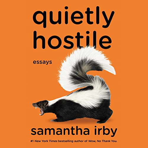 Quietly Hostile: Essays