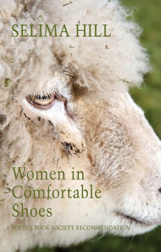 Women in Comfortable Shoes book cover