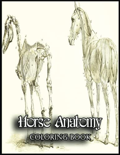 Horse Anatomy Coloring Book: A Journey of Self-Discovery through the
