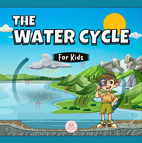 The Water Cycle for Kids: Learn what its stages are and what they consist of