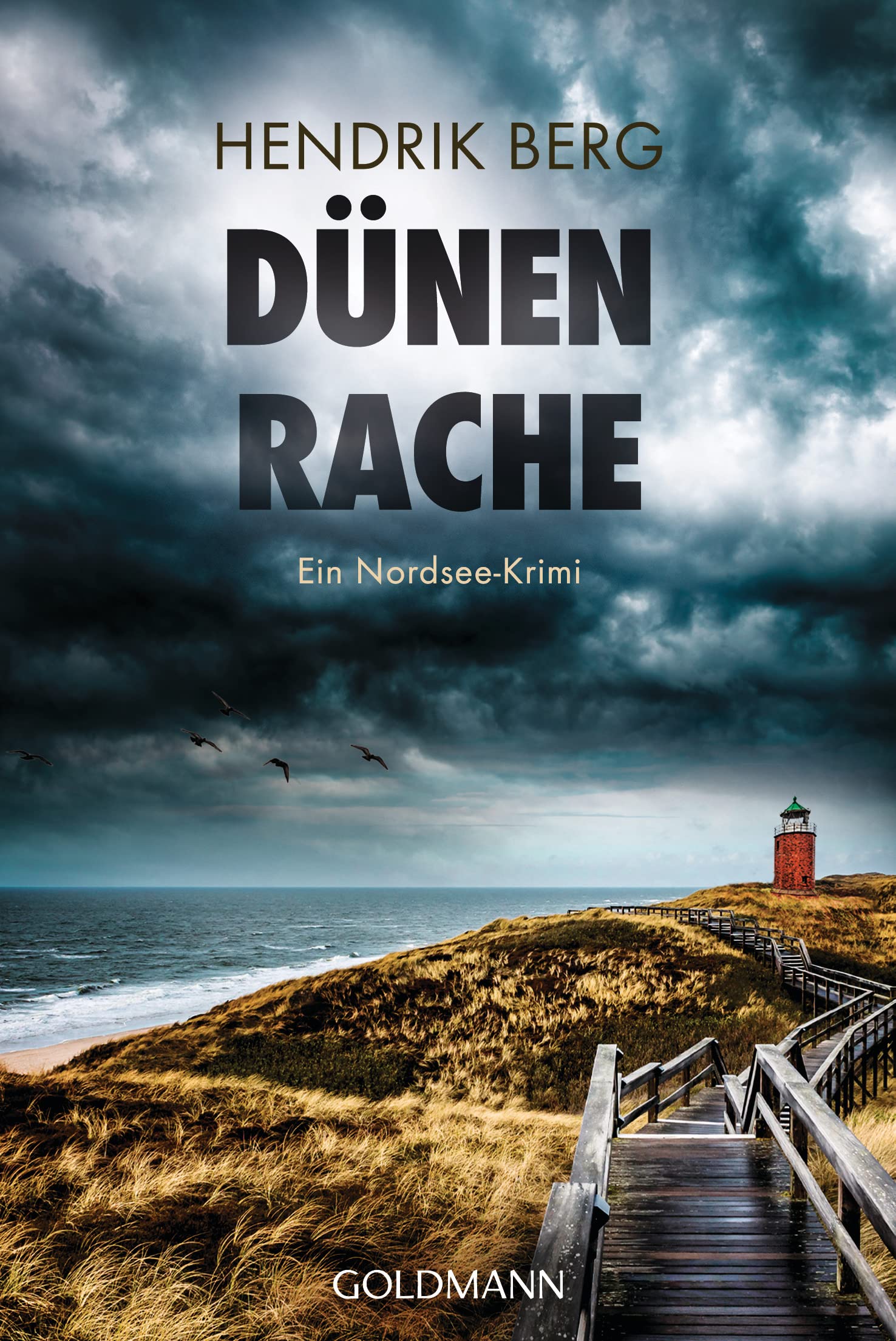 Dünenrache: Ein Nordsee-Krimi (Ein Fall für Theo Krumme 9)