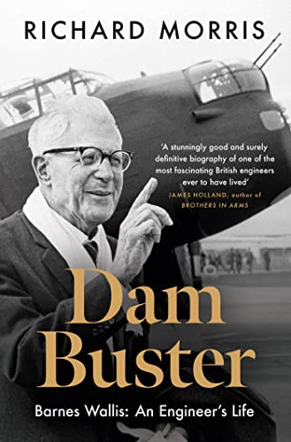 Dam Buster book cover