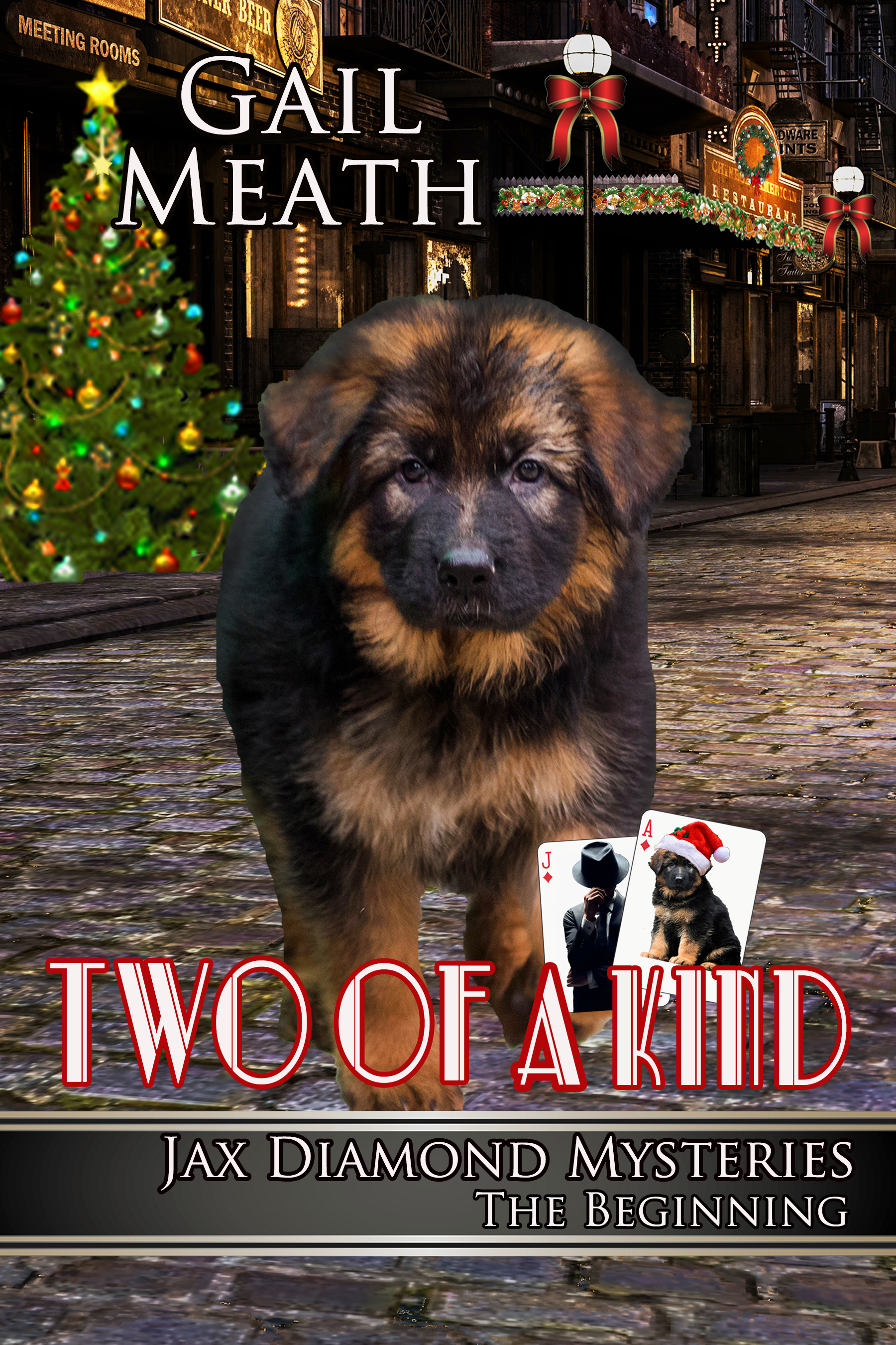 Two of a Kind: The Beginning