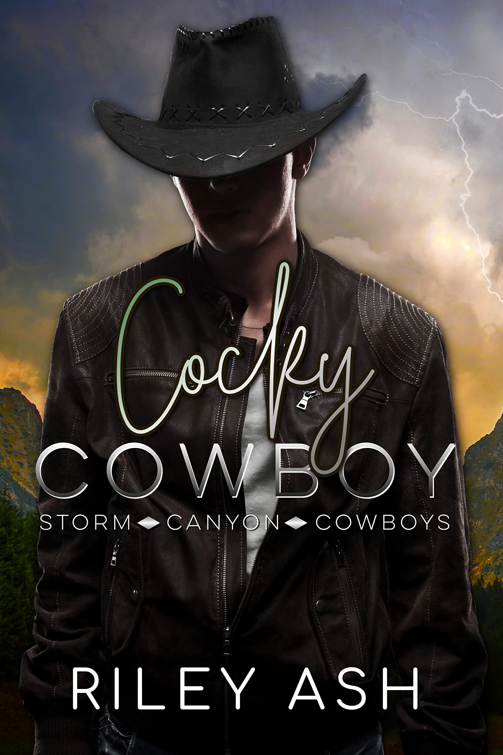Storm Canyon Cowboys book cover 1