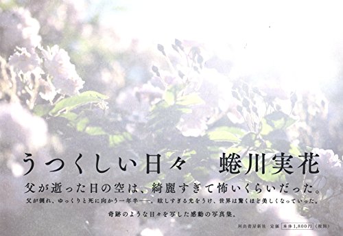 うつくしい日々 book cover