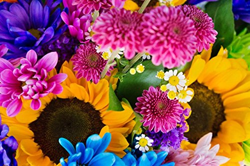 Earthly Flowers, Heavenly Colors book cover