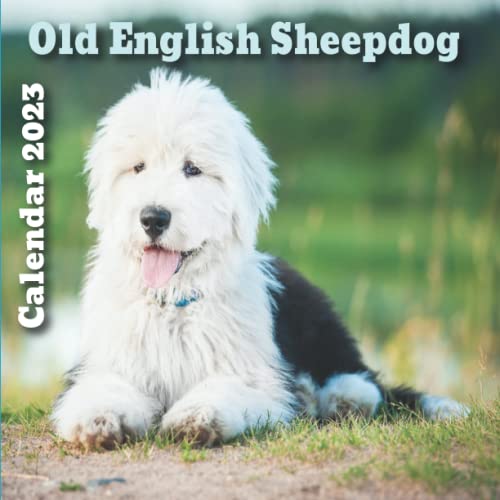Old English Sheepdog 2023 Calendar Old English Sheepdog Calendar 2023
