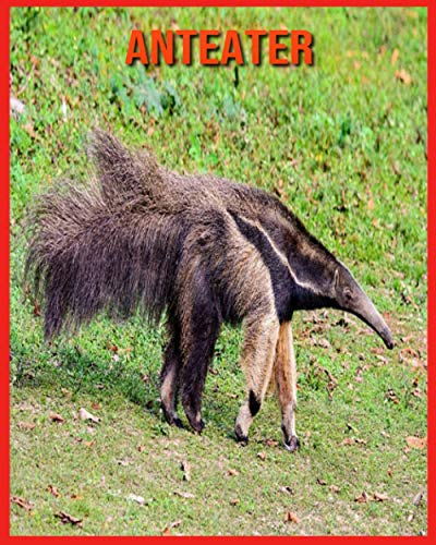 Anteater: Fun Facts and Amazing Photos of Animals in Nature by Annie