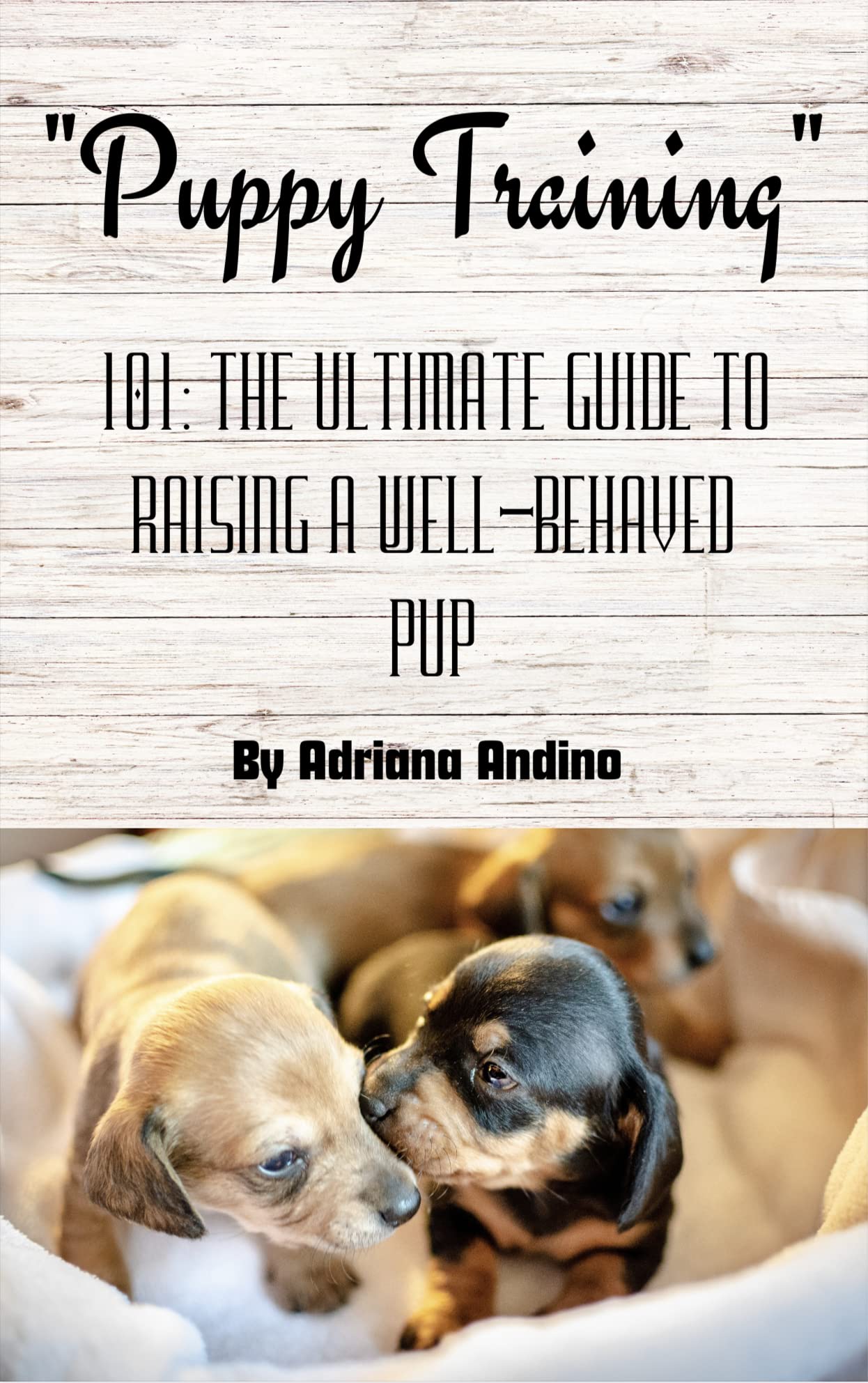 PUPPY TRAINING 101 THE ULTIMATE GUIDE TO RAISING A WELLBEHAVED PUP