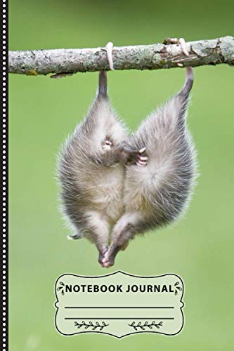 Opossum Journal Notebook: : AWESOME POSSUM. Notebook:Great Idea For ...