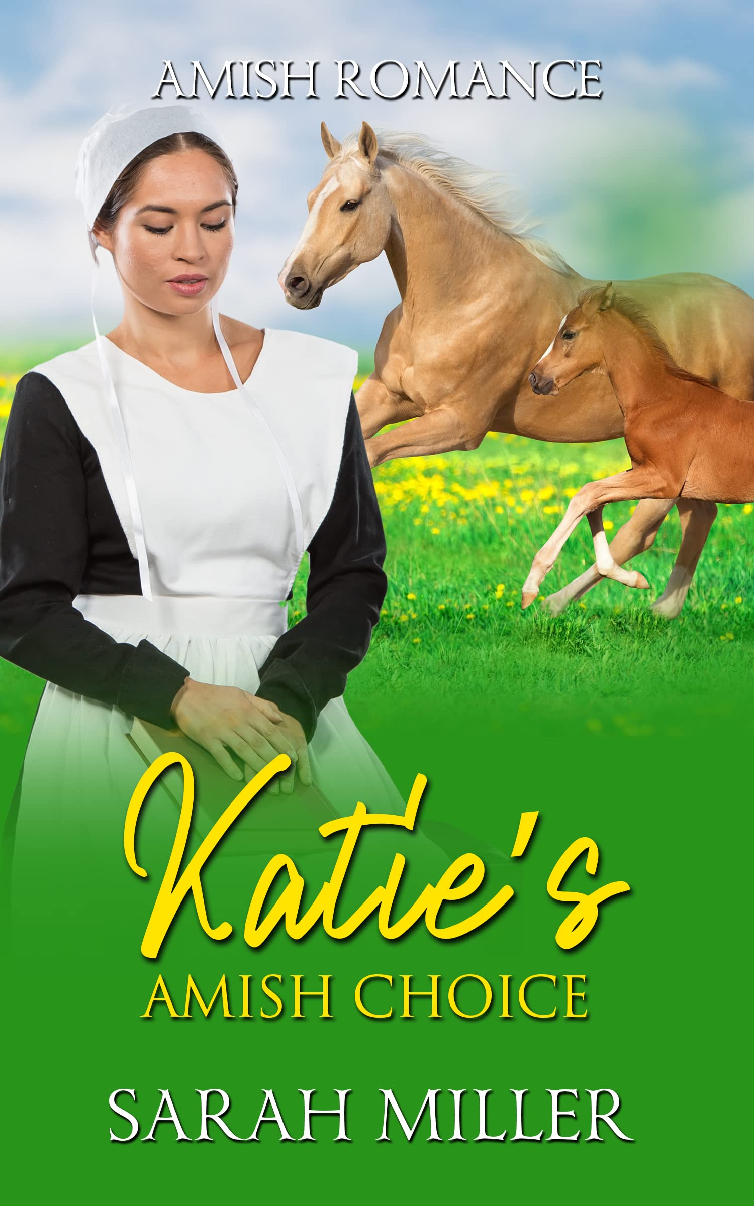 Katie's Amish Choice book cover