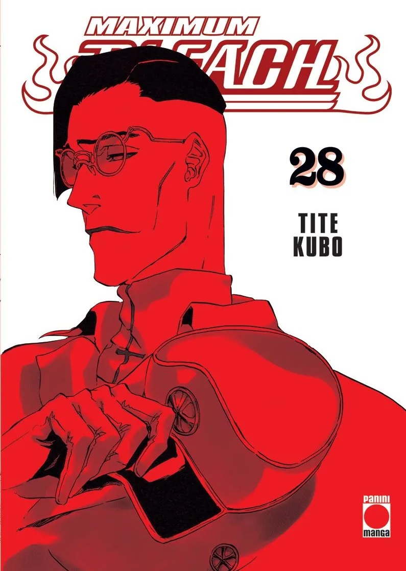 Bleach, vol. 28 book cover