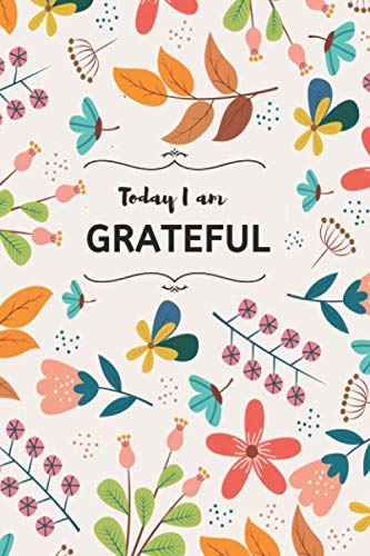 BookFactory Gratitude Journal / Daily Log Book - 6x9 Inches, 100 Pages, Wire-O Bound, Thick Translucent Cover