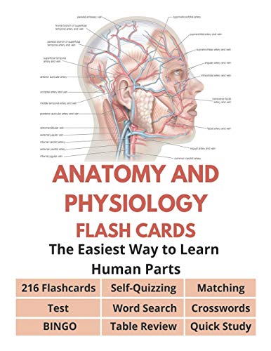 Anatomy and Physiology Flash Cards - 216 Flashcards, Self-Quizzing ...
