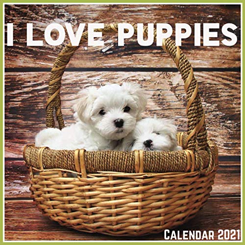 I Love Puppies Calendar 2021 Official I Love Puppies Calendar 2021, 12