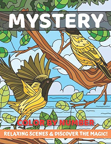 Mystery Color By Number Relaxing Scenes & Discover The Magic!: An Adult Color By Numbers ...