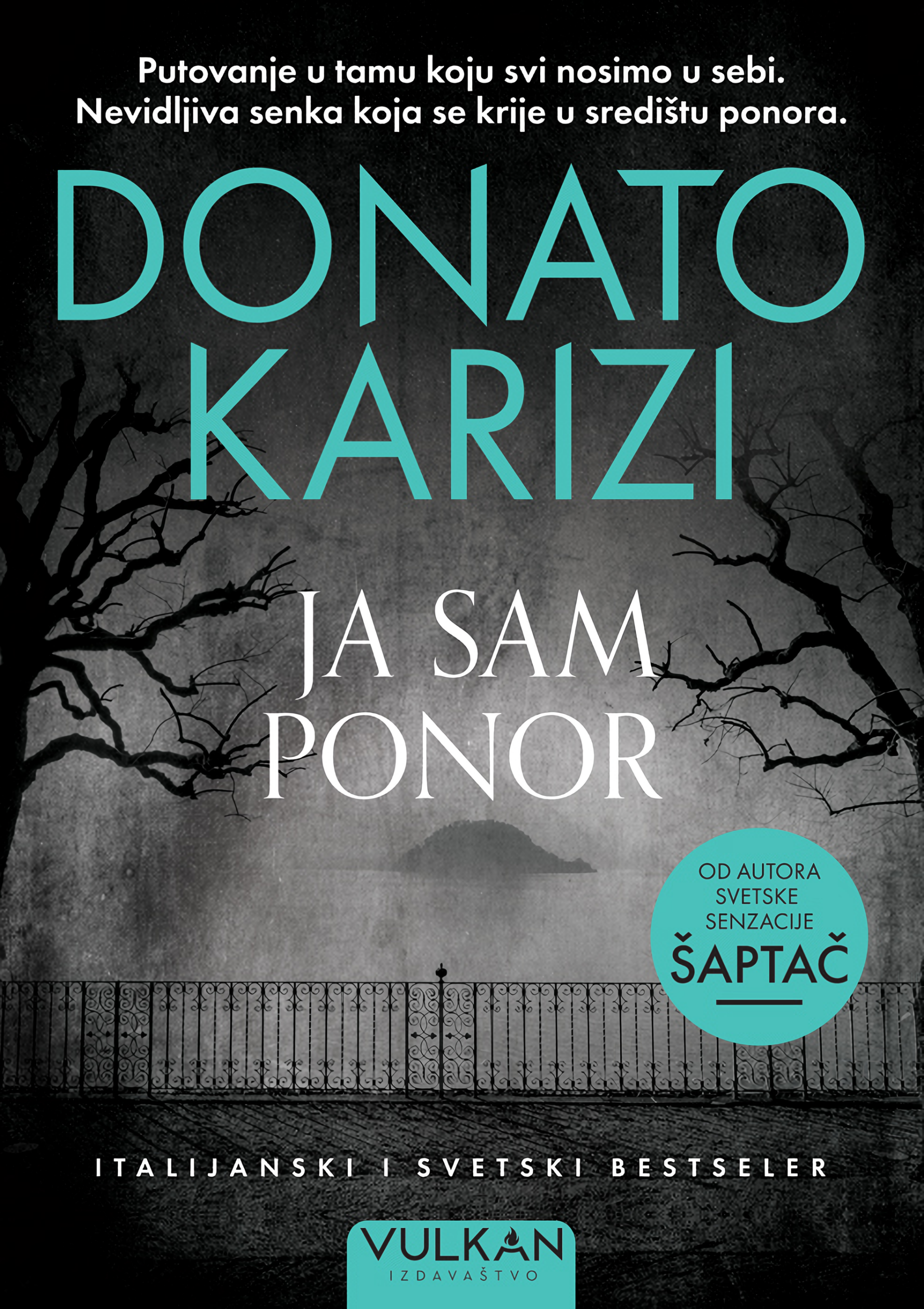 Ja sam ponor book cover