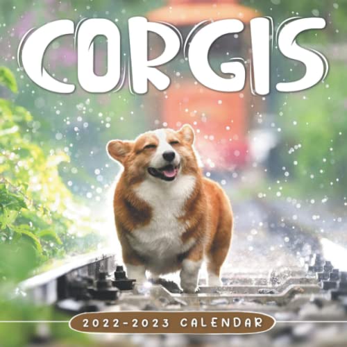 Calendar 2022 2023 8.5' x 8.5" Mini Calendar from January 2022 to December 2023. A