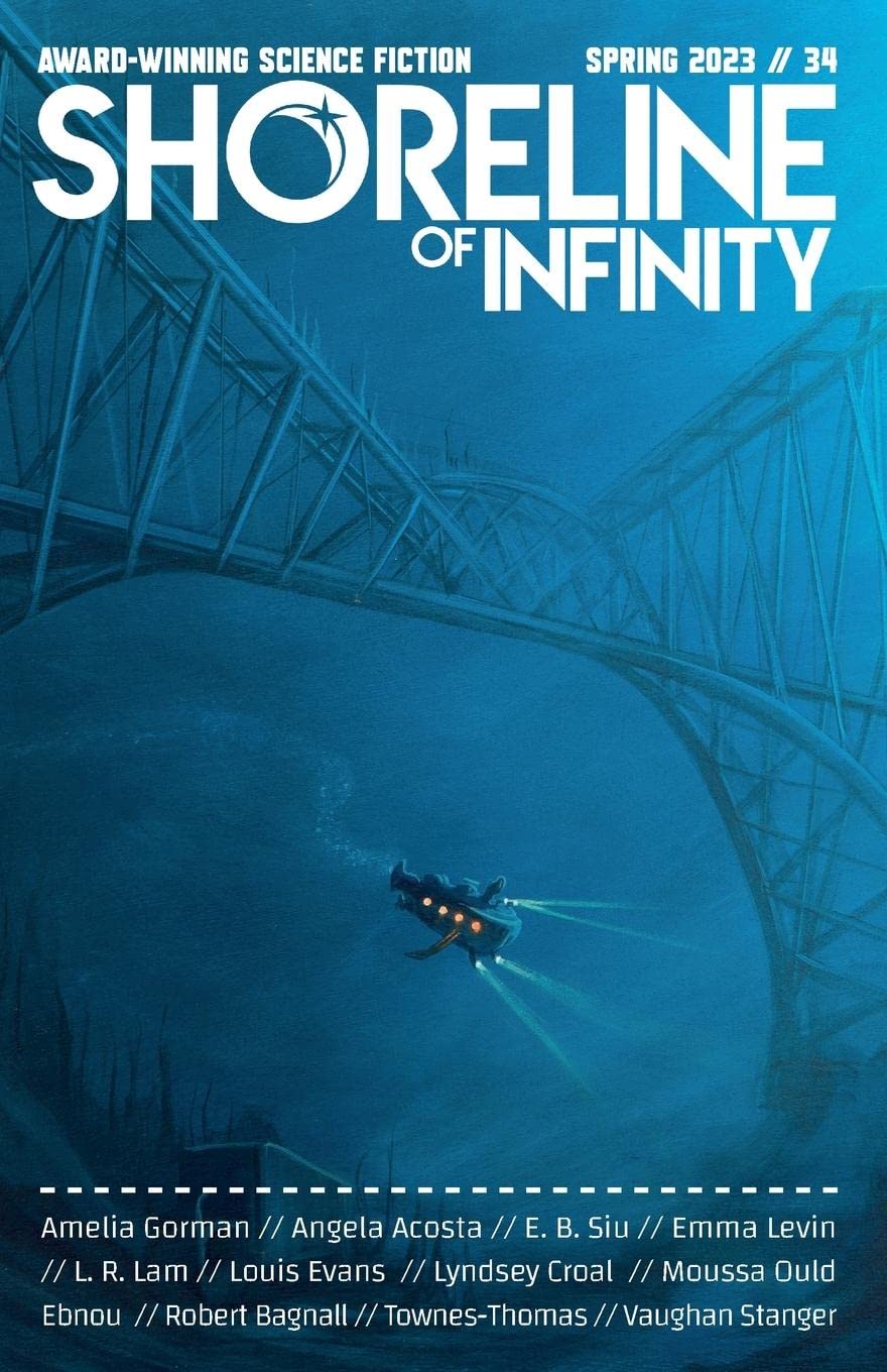 Shoreline of Infinity, Issue 34, Spring 2023 book cover