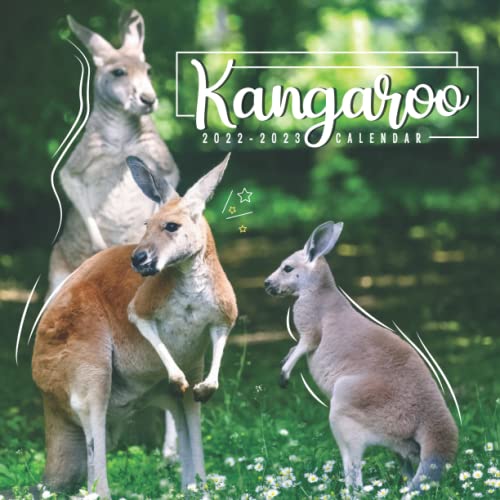 kangaroo-calendar-2022-2023-great-24-month-calendar-for-all-fans-8-5