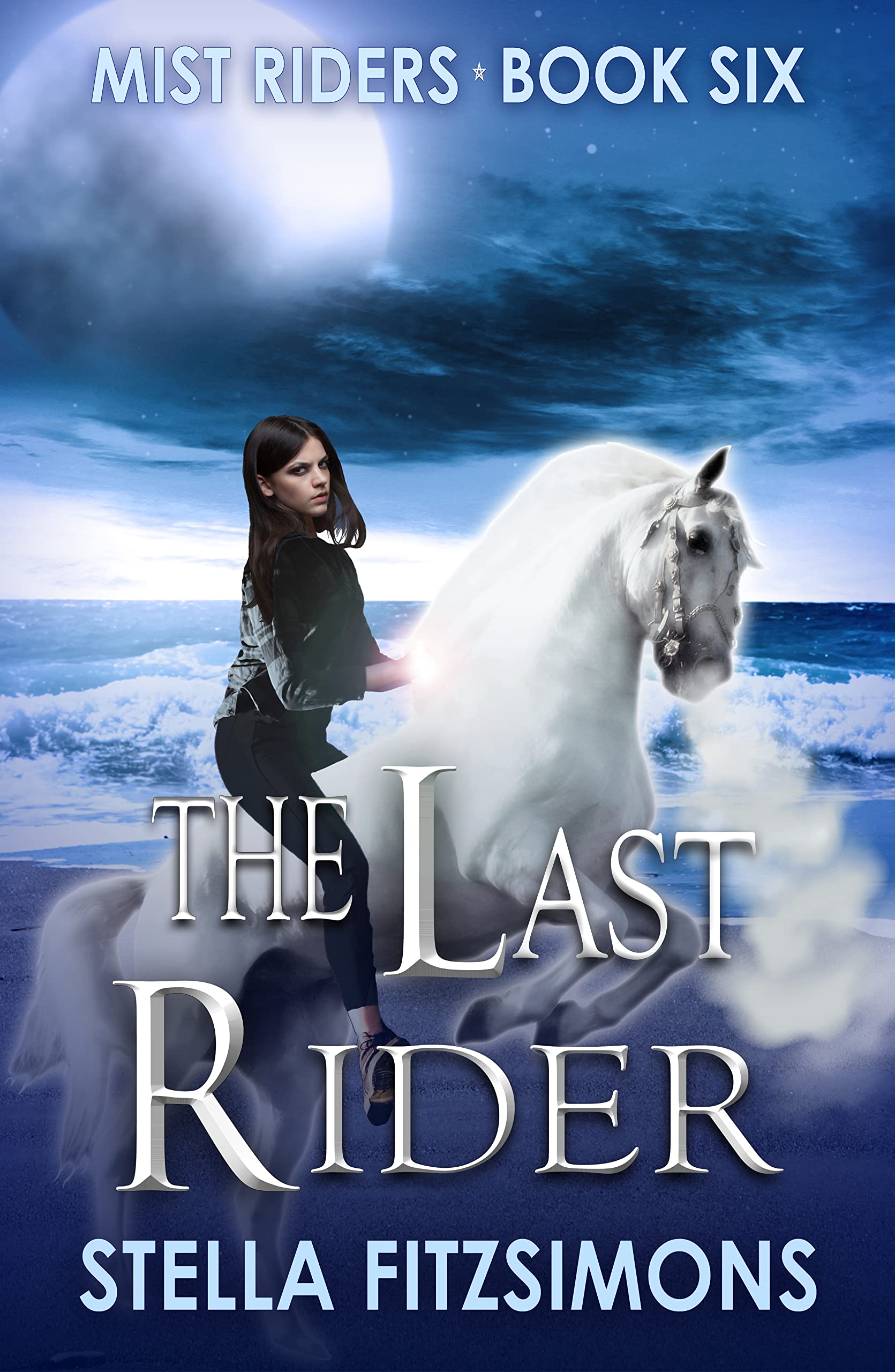 The Last Rider book cover
