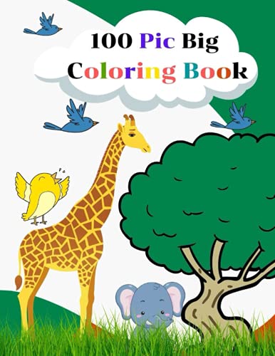 100 Pic Big Coloring Book : Best My First Big Color Book - Top My First