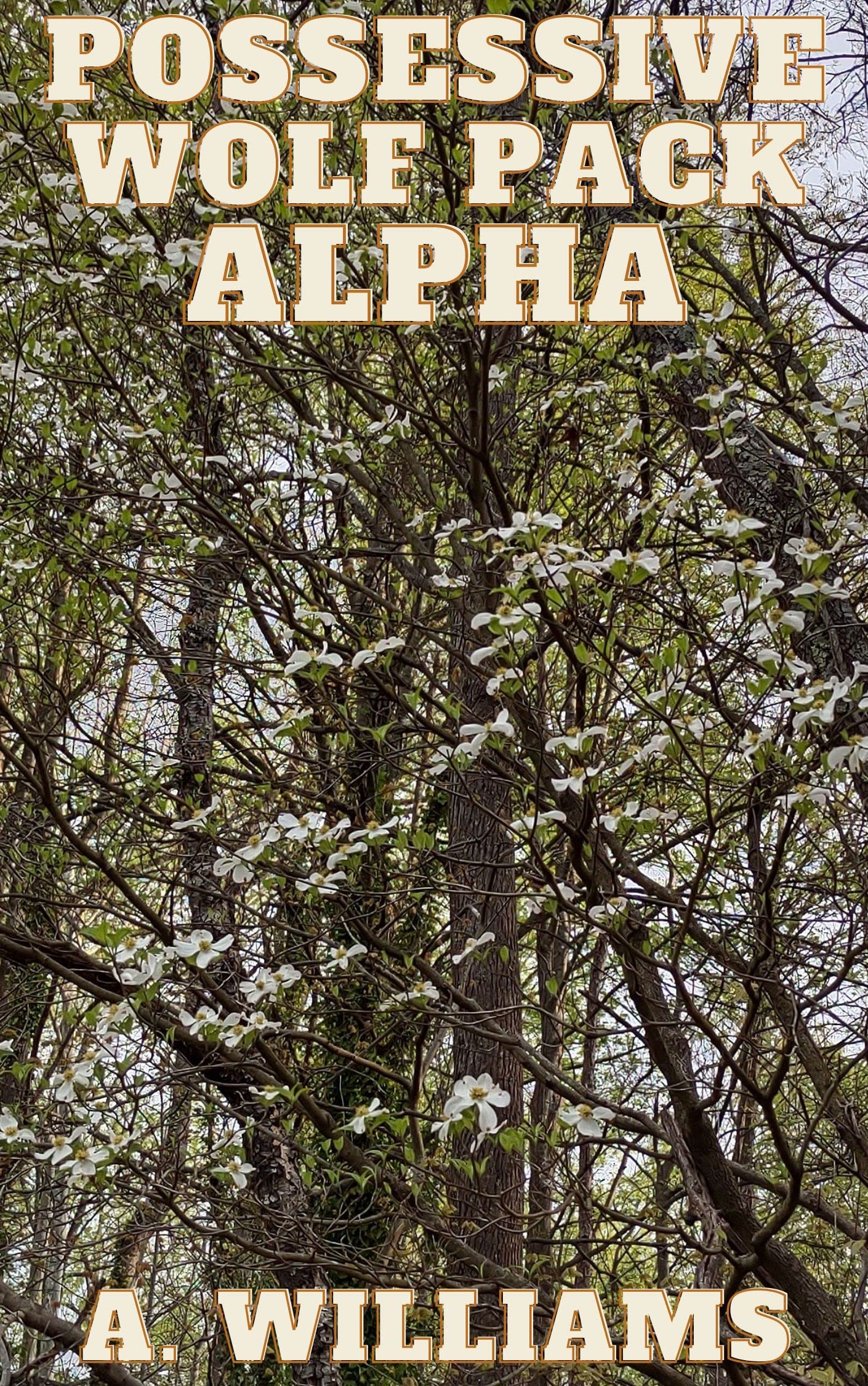 Possessive Wolf Pack Alpha M/M Wolf Shifter Fated Mates Romance by A