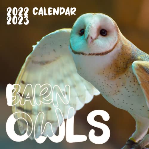 Barn Owls Calendar 2022 Barn Owls Calendar 20222023 animalsanimal