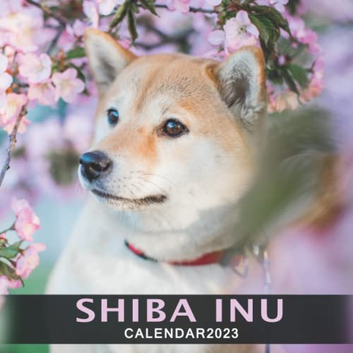Shiba Inu calendar 2023: Yearly monthly 12 month calendar 2023 with