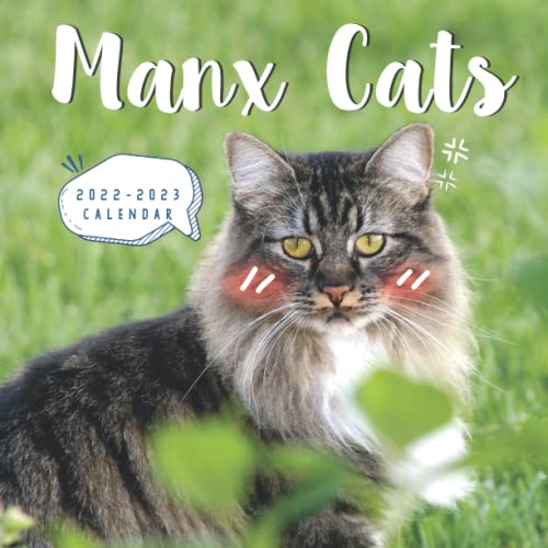 manx-cat-calendar-2022-2023-great-24-month-calendar-for-all-fans-8-5