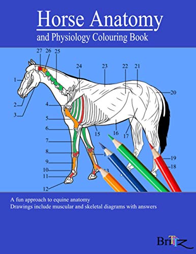 Horse Anatomy and Physiology Colouring Book: A Detailed Guide to Equine ...