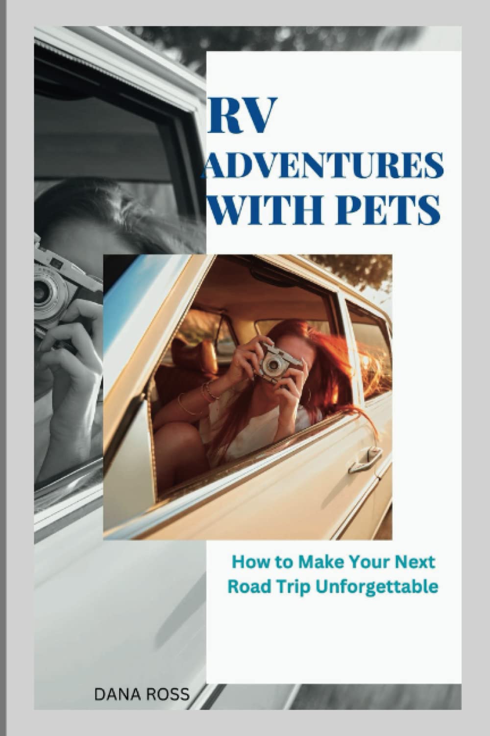 RV Adventures with Pets How to Make Your Next Road Trip