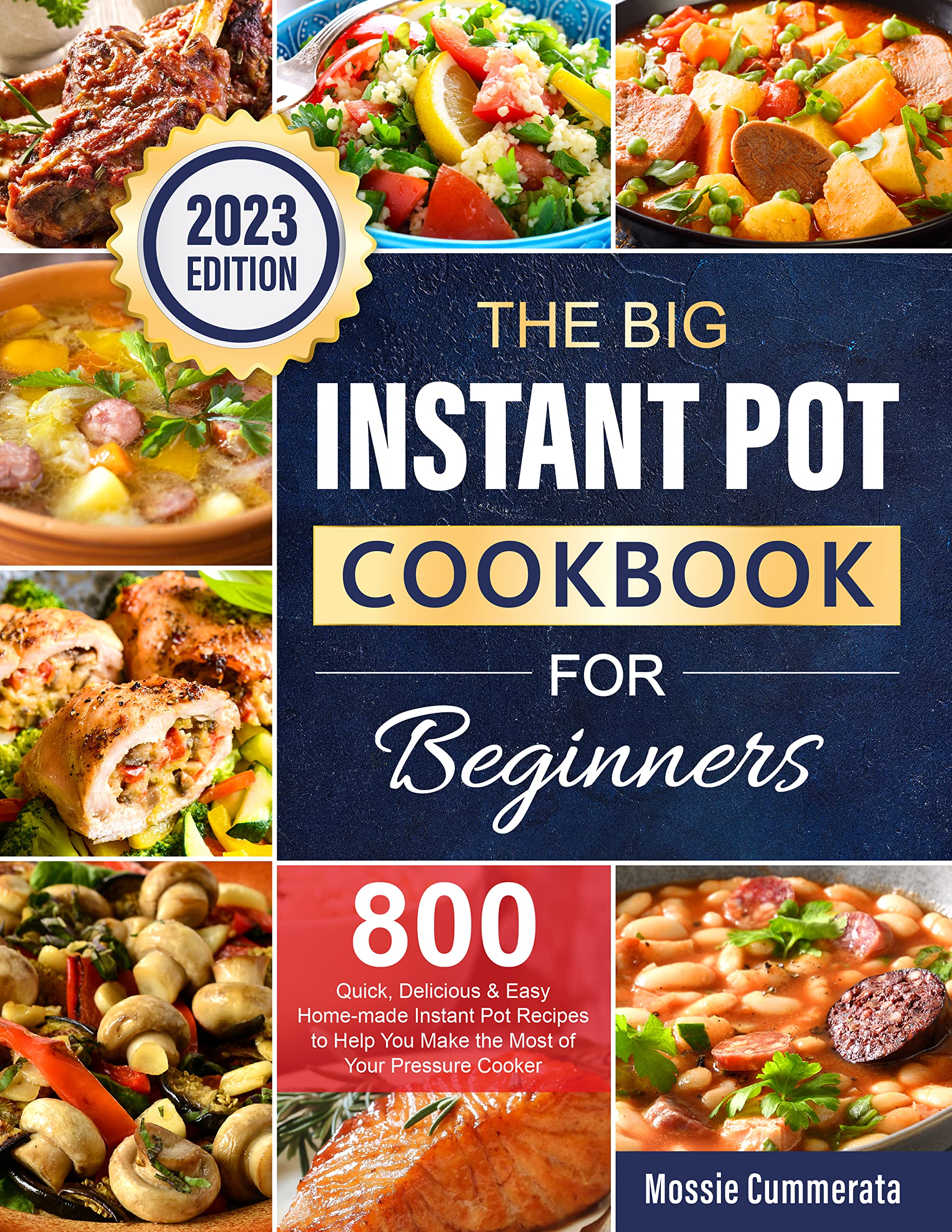 The Big Instant Pot Cookbook for Beginners 800 Quick, Delicious & Easy