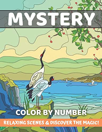 Mystery Color By Number Relaxing Scenes & Discover The Magic!: An Adult Color By Numbers ...