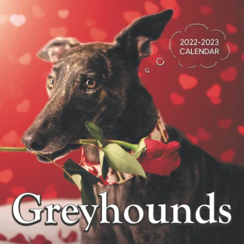Greyhounds Calendar 2022 2023 8.5' x 8.5" Mini Calendar from January