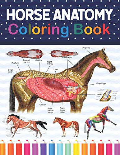 Horse Anatomy Coloring Book: Animals Physiology Self-Quiz Color