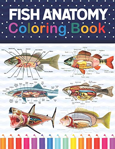 Fish Anatomy Coloring Book: Fish Anatomy Coloring Workbook for Kids ...