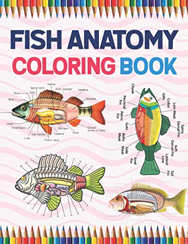 Fish Anatomy Coloring Book: Fish Anatomy Coloring Workbook for Kids ...