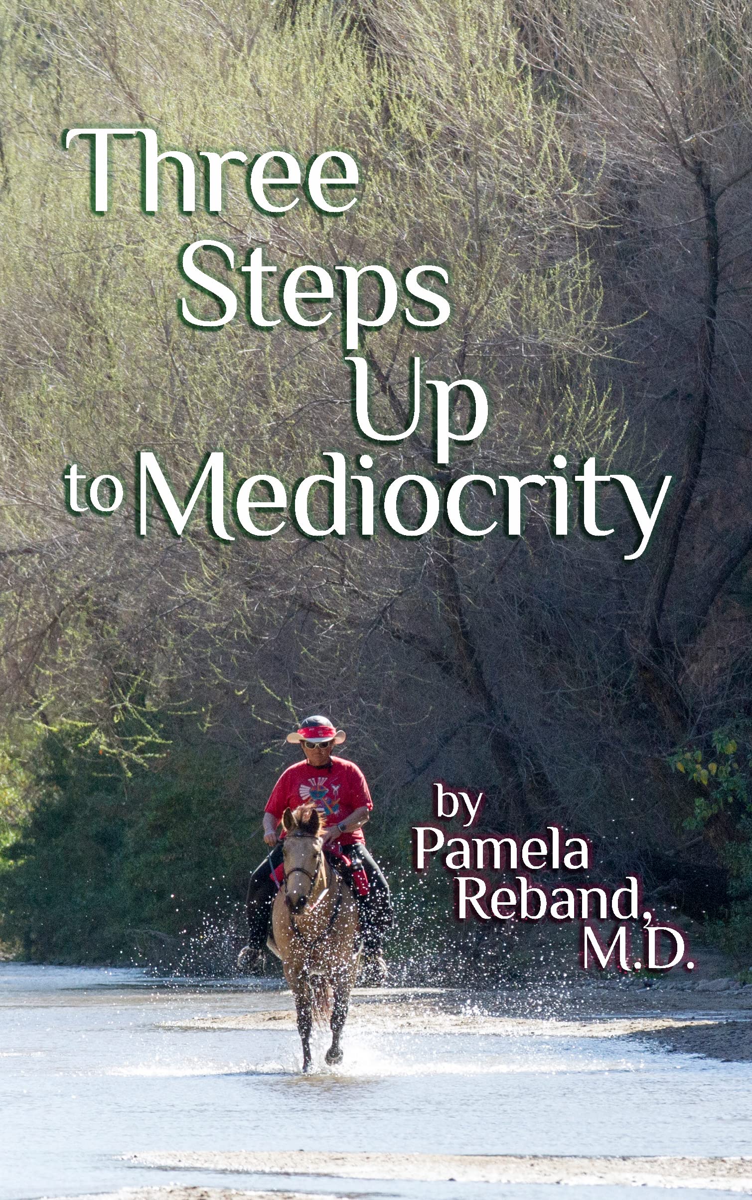 Three Steps Up to Mediocrity: A woman afraid, a tough little horse and the man who brought them together