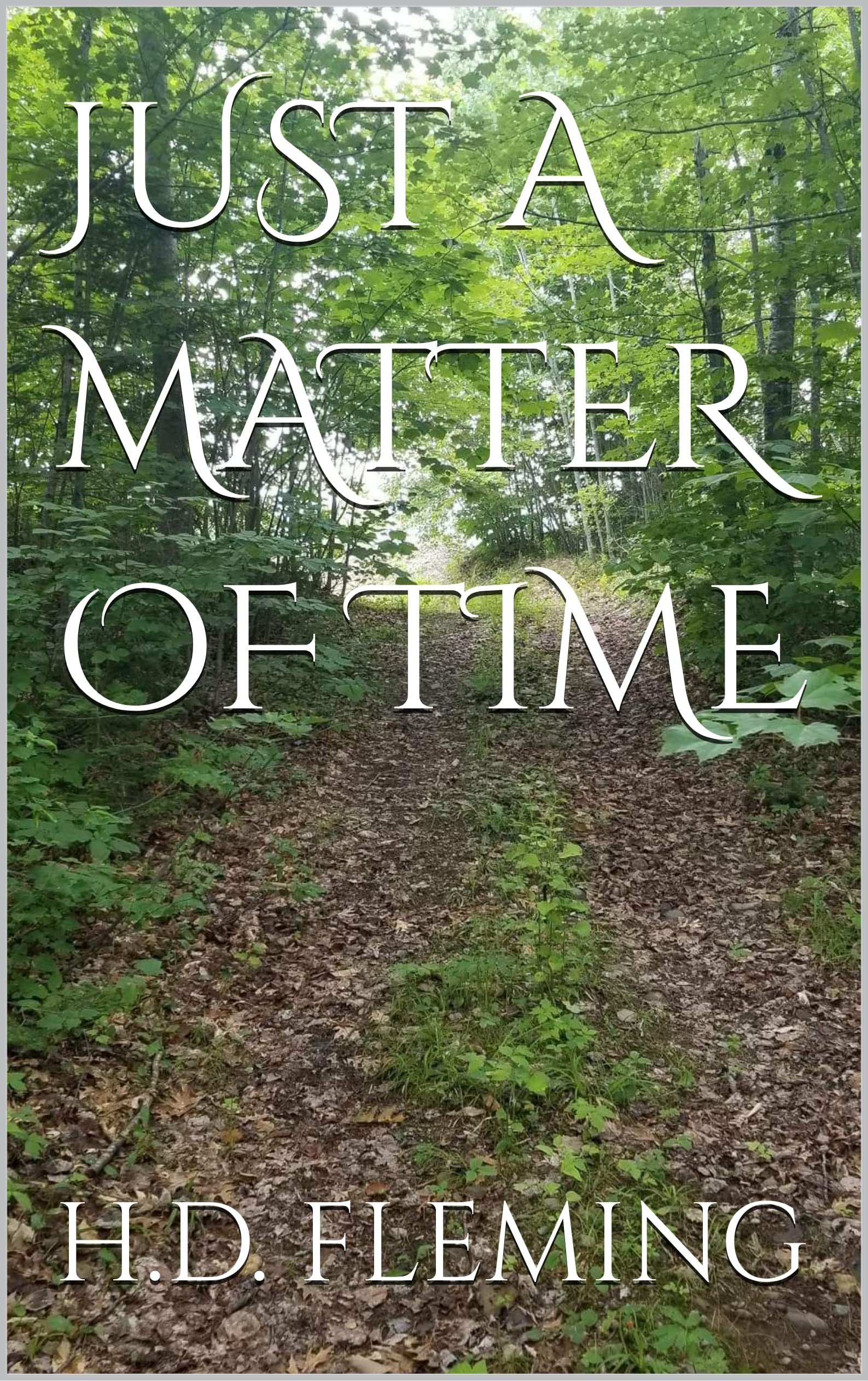 JUST A MATTER OF TIME by H.D. Fleming Goodreads