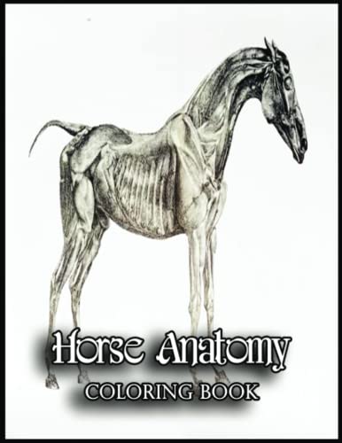 Horse Anatomy Coloring Book: Find Joy and Inner Peace with this