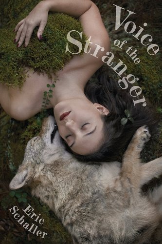 Voice of the Stranger book cover