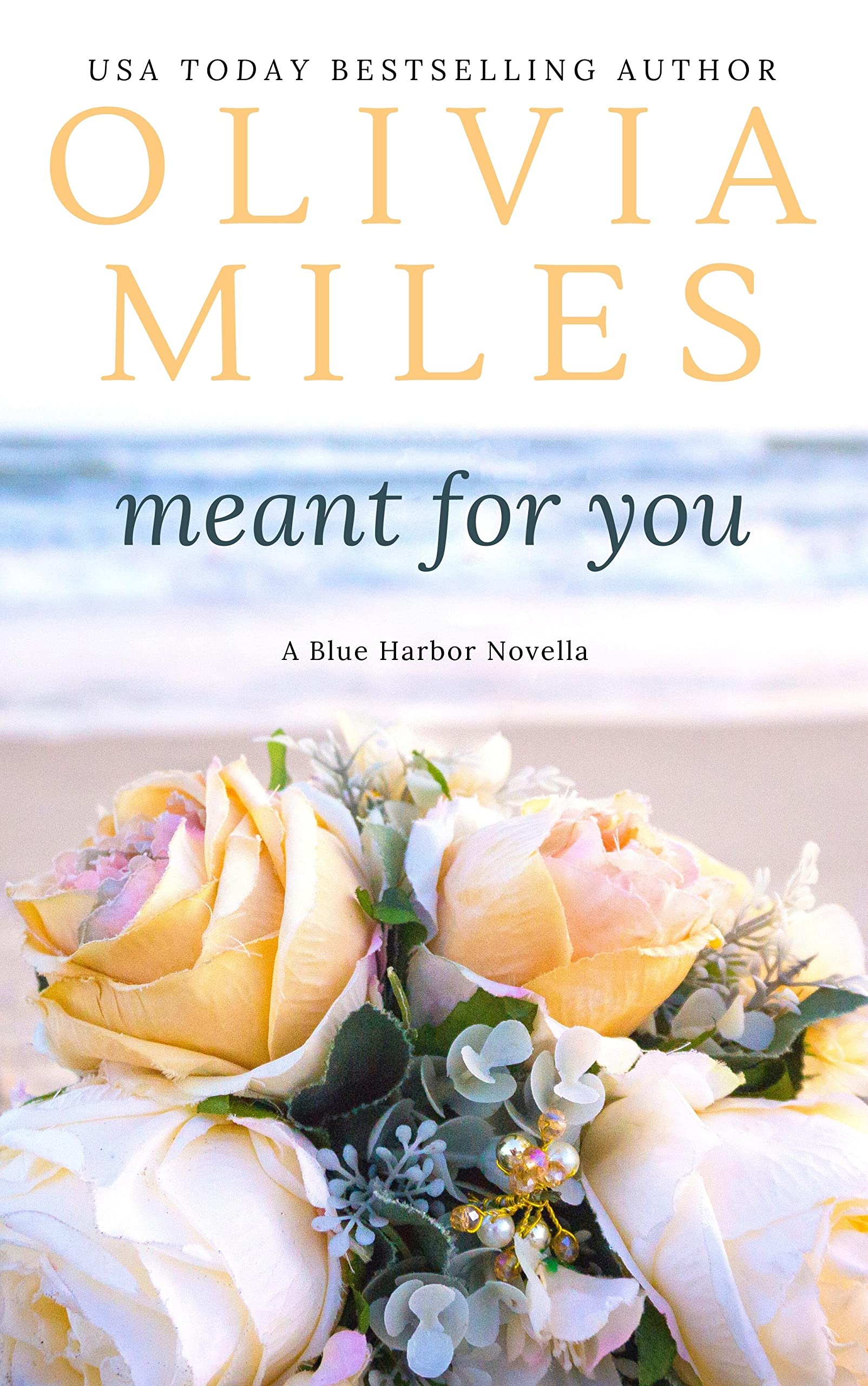 Meant for You book cover