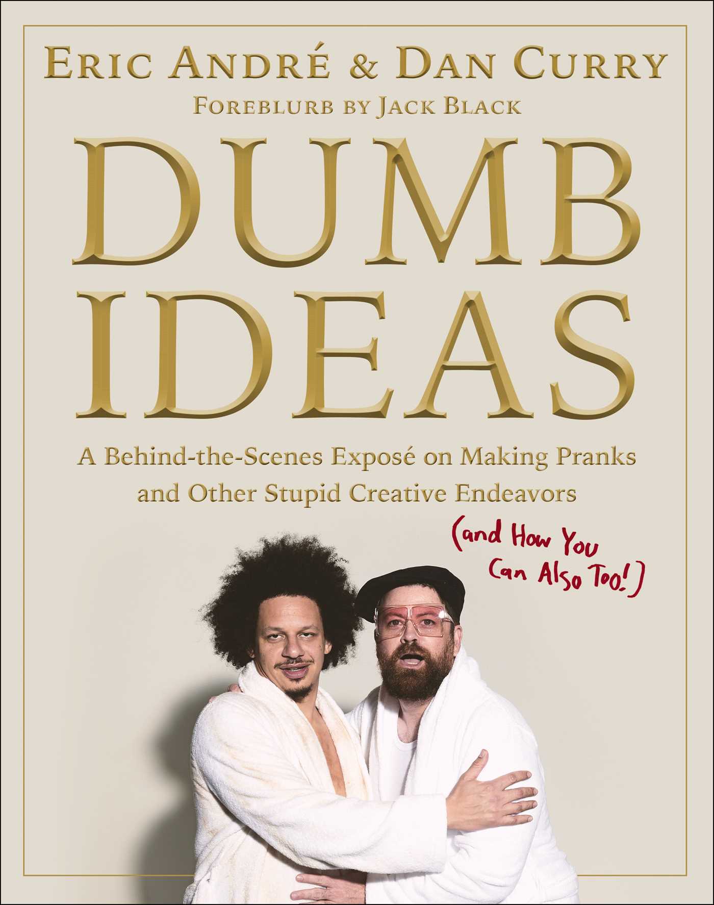 Dumb Ideas: A Behind-the-Scenes Exposé on Making Pranks and Other Stupid Creative Endeavors