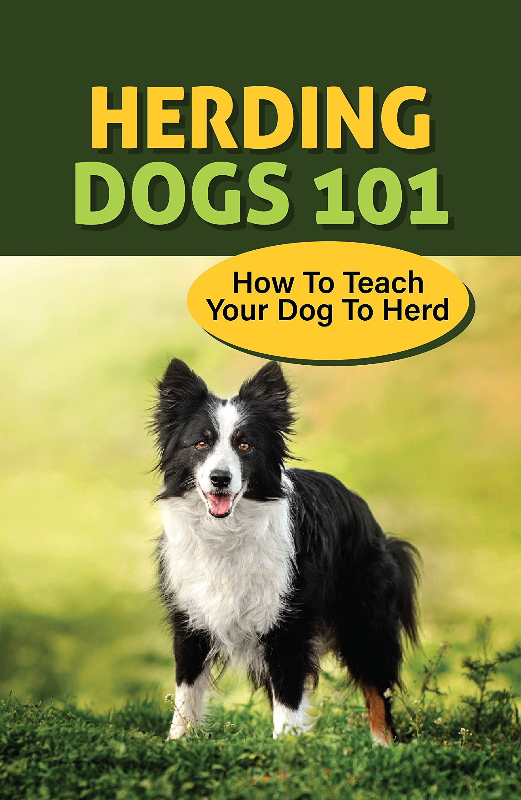 Herding Dogs 101 How To Teach Your Dog To Herd Herding Dogs And