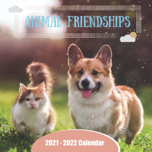 Animal Friendships Calendar Beautiful Calendar Gift for Family