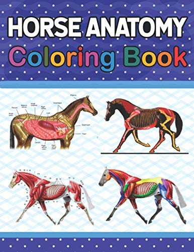 Horse Anatomy Coloring Book: Horse Art & Anatomy Coloring Workbook for