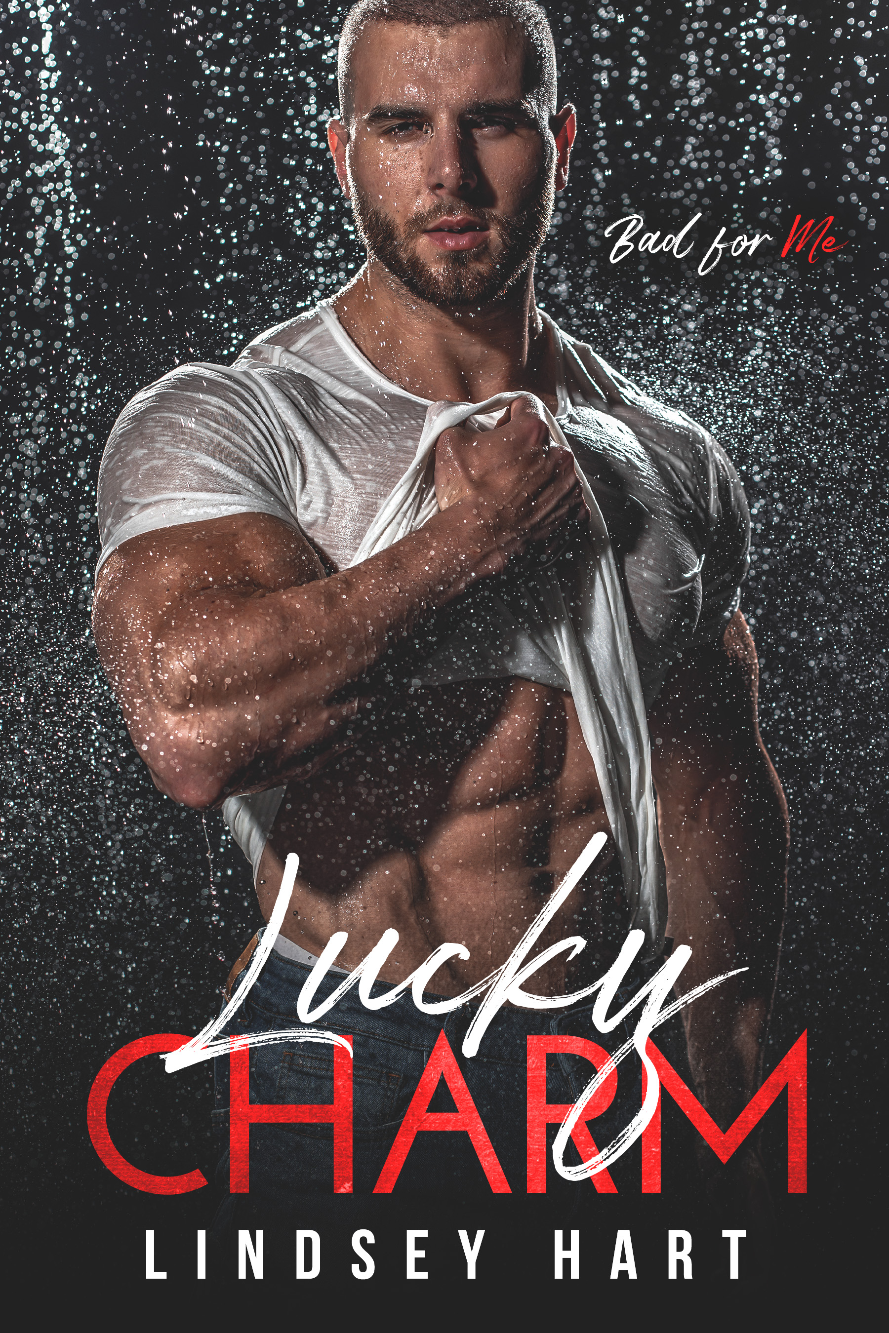 Lucky Charm book cover